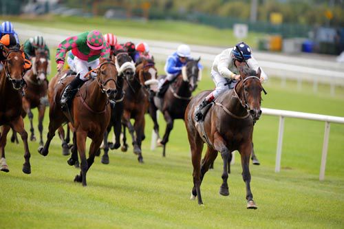 Eur Elusive strides clear of the field under Ray Dawson