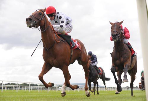 Batchelors Star and Pat Smullen (win) from Fred Fenster
