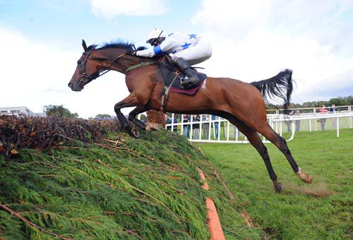 Delphi Mountain and Denis Hogan clear the last 