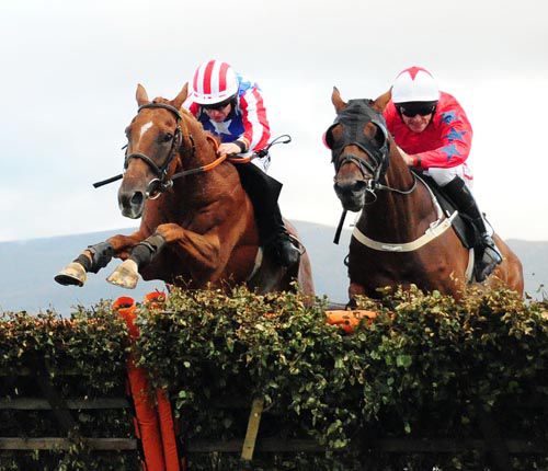 Sultans Of Swing (left) jumps the last alongside Donnachas Chant (right)
