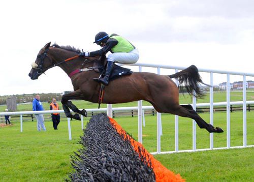 Shadow Eile pops over the last under Shay Barry