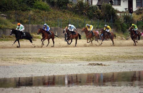 Curl Cat has his rivals on the stretch at Laytown