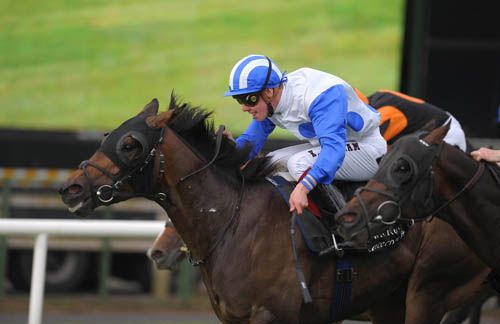 Mount Meru holds off all comers at Down Royal