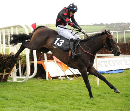 One Cool Shabra pictured on his way to victory at Listowel last year