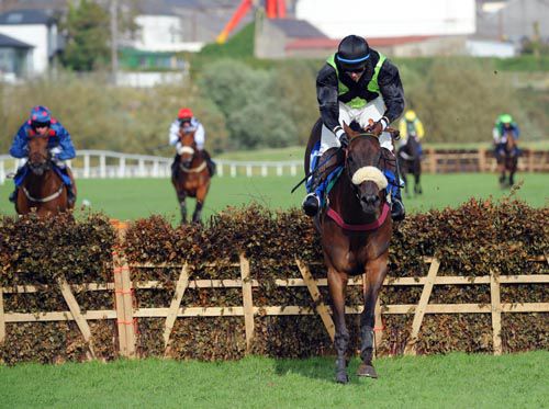 Shadow Eile jumps the last in a clear lead