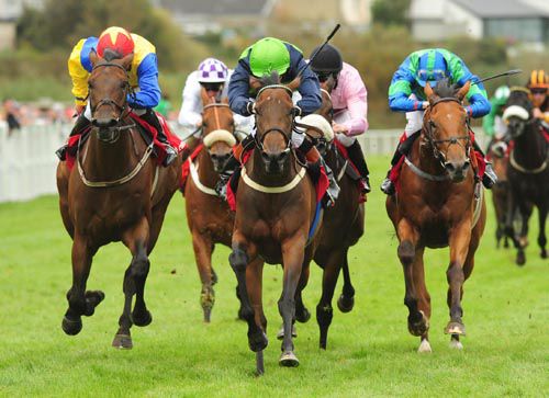 Aris & Chris Hayes (centre) fend off the challenge of Gordon Lord Byron (right) and Jouster (left)