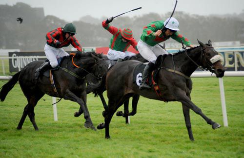 The whips are up as Leah's Dream (Gerry Mangan) takes the bumper