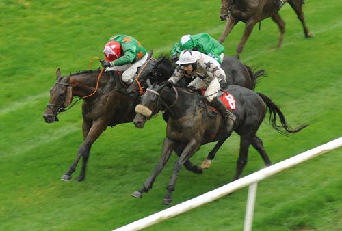Mahrajaan (nearside) defeats King High (far side) and Clarkey 