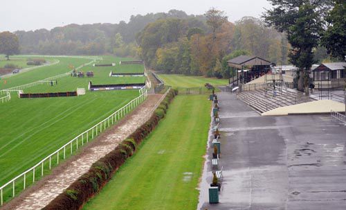 Mixed flat and jumps action at Gowran Park today