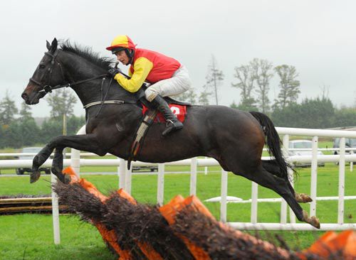 Bachelor Affair and Tommy Treacy pop an early flight en route to success 