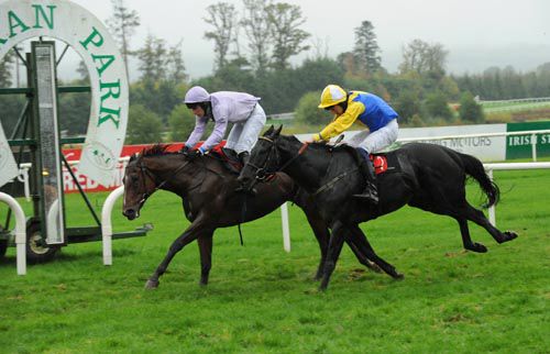 Van Diemens Land holds Koko Lane