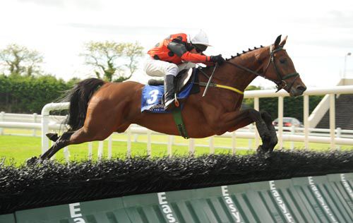 Dylan Ross and jockey Paul Carberry jump the final flight