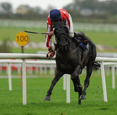 David Splaine manages to stay aboard Boland's Corner after he collided with the rail on the run-in.