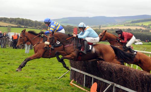 According To Trev was a 'point' winner at Tinahely