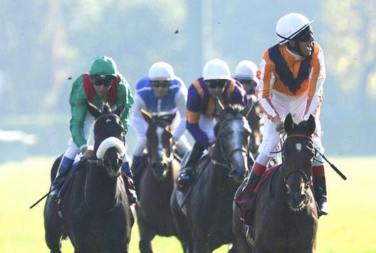 Treve 8/1 in places for the Arc now