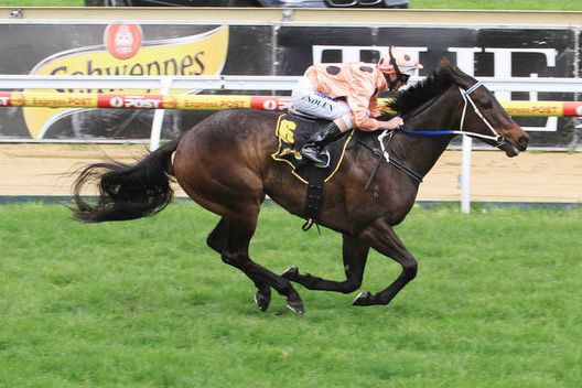 Black Caviar