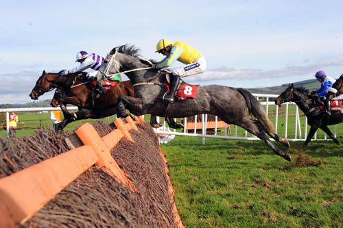 Carutomark (number 8) and Ruby Walsh come to win their race at the last