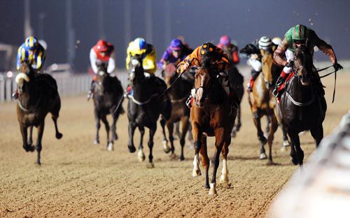 Acushladear (black & amber, white face) sees off Homebrew (rails) & co at Dundalk