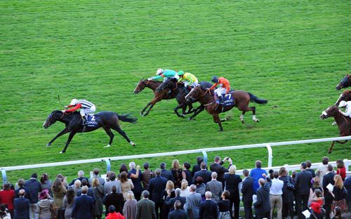 Deacon Blues is pushed out to victory under Johnny Murtagh