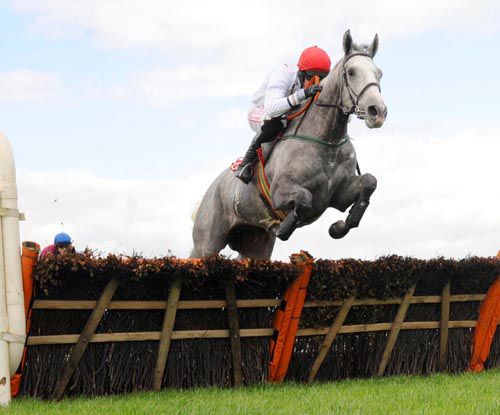 Pink Coat (Shane Hassett) provide trainer Steven Ryder with his first winner
