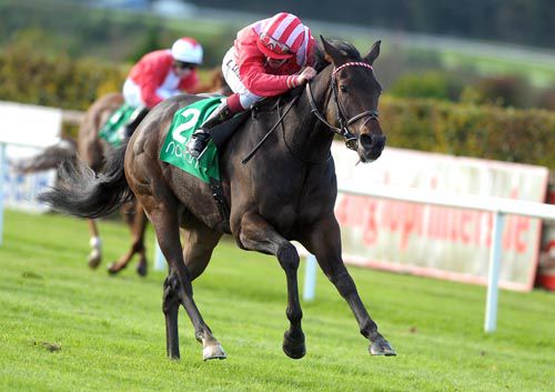 Fred Fenster & Keagan Latham were good winners at Navan
