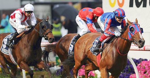 Pinker Pinker and Craig Williams cross the line in front in the Cox Plate