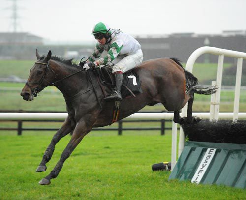 Noras Fancy pictured winning at Galway last October