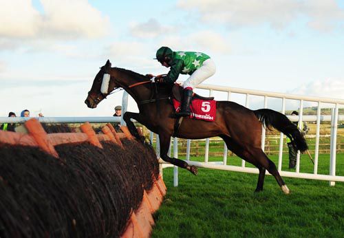 Irish Soul gets in too close at the last under Paddy Mangan but it made no difference