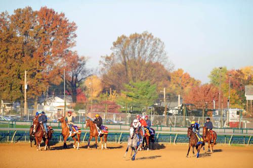 American racing 