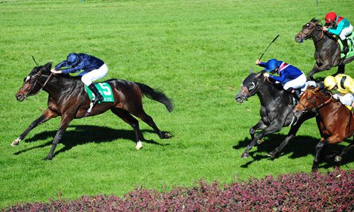 Wrote winning the Breeders' Cup Juvenile Turf at Churchill Downs