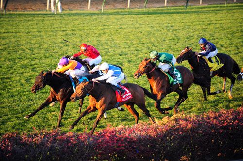 Goldikova (nearside) couldn't hold on for a 4th Breeders' Cup win