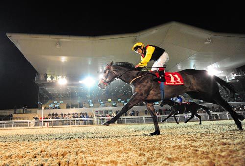 Banner Road lands a substantial gamble under Pat Shanahan