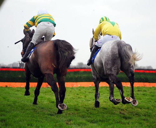 Harold's Cross (left) and Wicklow Lad race to the final flight