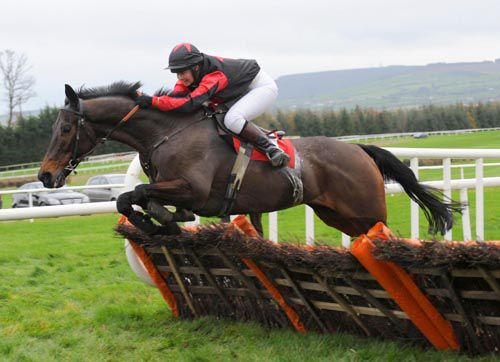 Buck Breeze and owner/rider Adrienne Foley 