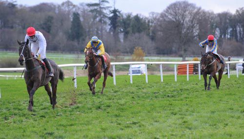 Easy for Blue Bicycle in the bumper