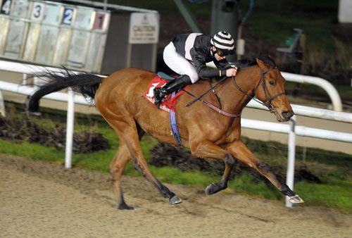 Knockgraffon Lad and Conor Keane