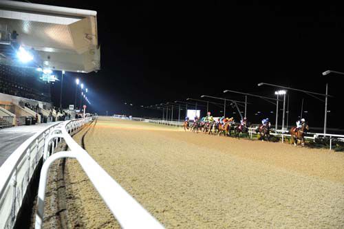 Runners in the bookings@dundalkstadium.com Handicap race by the stands 