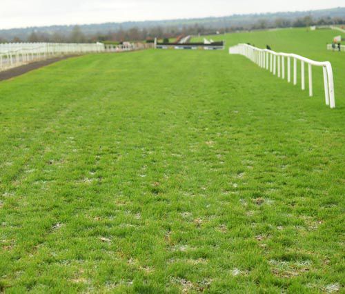 Ground now heavy at Navan