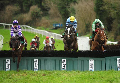 Come To The Party (right) jumps the final flight alongside Whitehead Lad (left and Call Box