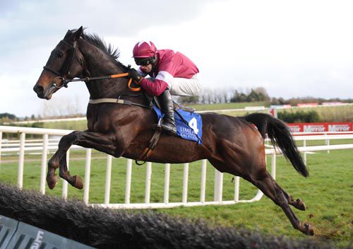 Trifolium in full flow