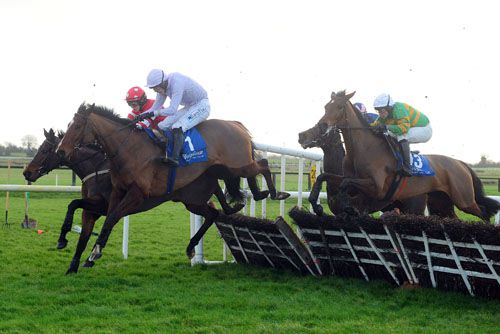 Woodville Lady jumps the last just behind Double Double (no.1) and Tennis Cap