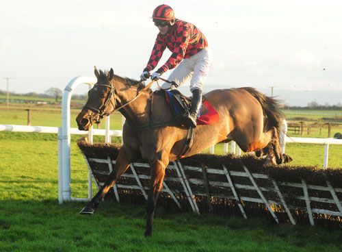 Galant Ferns and Brian O'Connell are untidy at the last before going on to success