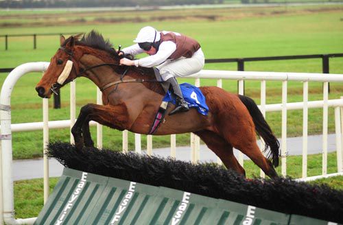 He has a good winter coat on but that didn't stop Dooney Rock under Barry Cash