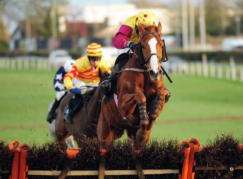 Prince Of Forwards jumps the last to provide trainer Pat Hughes with a welcome winner in the 2m6f handicap hurdle