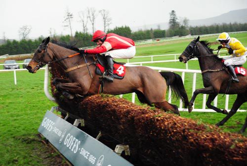 Gentle Alice leads Tiernan's Terror over the last