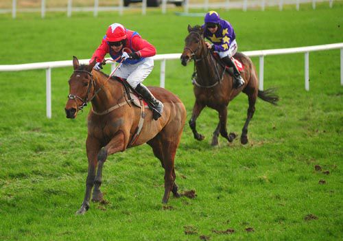 Moscow Mannon easily wins the bumper under Declan Lavery