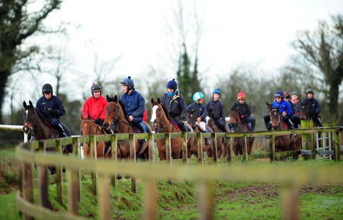 stable staff exercising horses at Gordon Elliotts