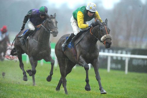 Ted Veale pictured in action at Leopardstown