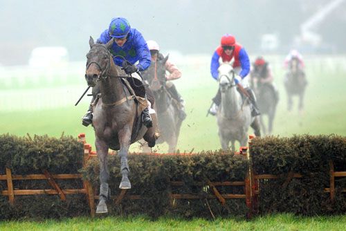 Hurricane Fly in action at Leopardstown