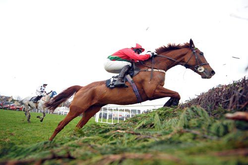Amber Knight and Conor Maxwell at the last in Down Royal's opener